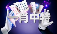 九九算法算生男女体验服下载V