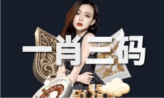 43171玄武网坐无限公司（2024已更新）最新