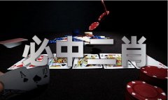 生肖复式计较组表图