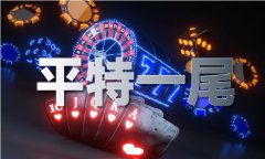lol查询师材料