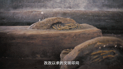 <b>浙江宣传丨何故连绵不停何故生生不息</b>
