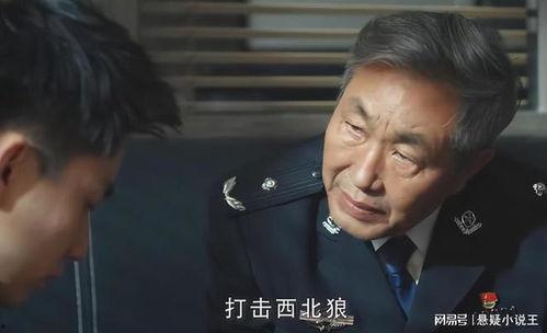 猎捕电视剧在线观看,揭秘网络暗流，正义之战一触即发